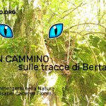 Loc Cammino