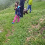 IMG-20220529-WA0000
