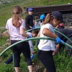 IMG_20220620_095856_1
