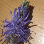 IMG_20220623_181602