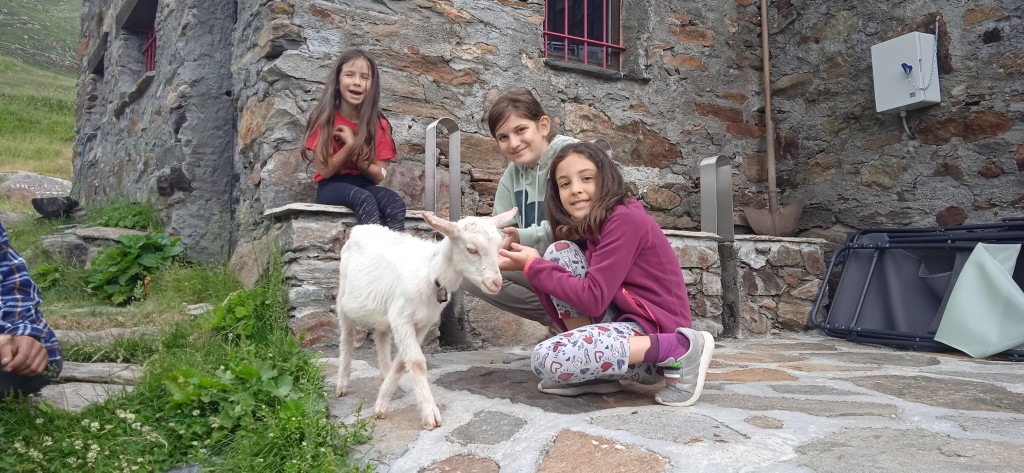 IMG_20220624_120407_1