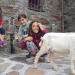 IMG_20220624_120409_1