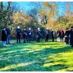 Polvere gruppo